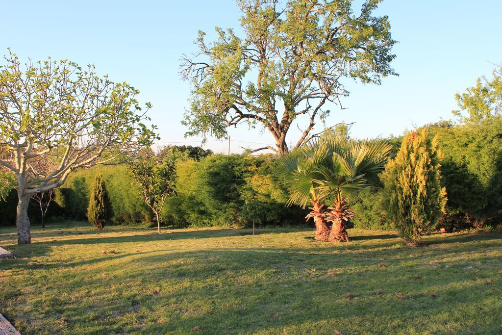 Horta Nova Villa Lagos Szoba fotó